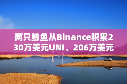 兩只鯨魚從Binance積累230萬美元UNI、206萬美元MKR和1390萬美元AUCTION