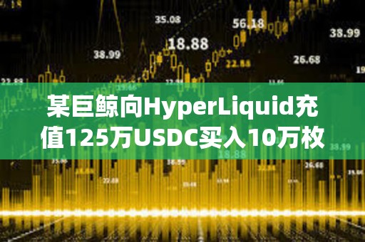 某巨鯨向HyperLiquid充值125萬USDC買入10萬枚HYPE