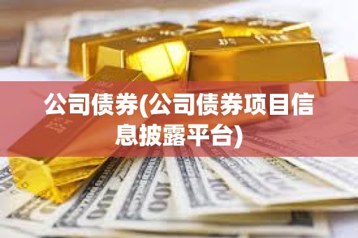 公司債券(公司債券項(xiàng)目信息披露平臺)