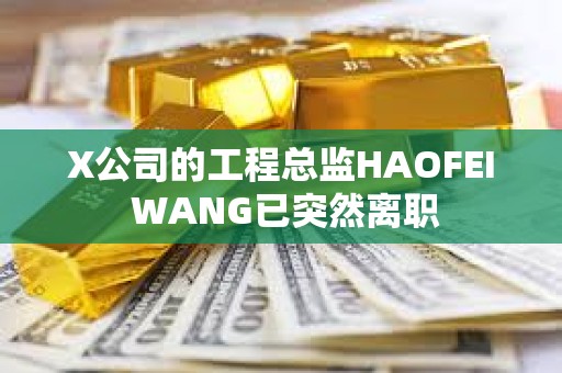 X公司的工程總監(jiān)HAOFEI WANG已突然離職