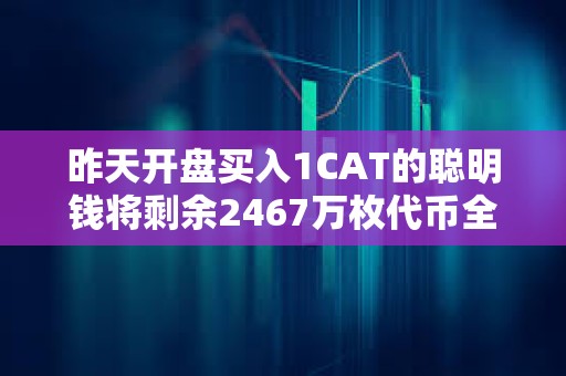 昨天開盤買入1CAT的聰明錢將剩余2467萬枚代幣全部質押