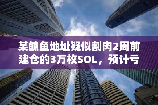 某鯨魚地址疑似割肉2周前建倉的3萬枚SOL，預計虧損45.6萬美元
