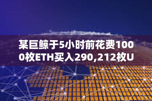 某巨鯨于5小時前花費1000枚ETH買入290,212枚UNI