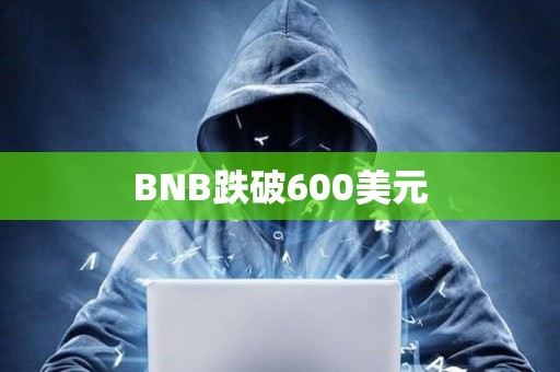 BNB跌破600美元