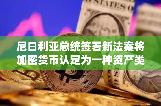 尼日利亞總統(tǒng)簽署新法案將加密貨幣認(rèn)定為一種資產(chǎn)類別
