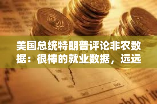 美國總統(tǒng)特朗普評論非農(nóng)數(shù)據(jù)：很棒的就業(yè)數(shù)據(jù)，遠(yuǎn)遠(yuǎn)好于預(yù)期