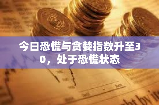 今日恐慌與貪婪指數升至30，處于恐慌狀態