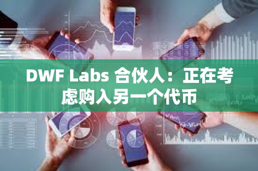 DWF Labs 合伙人：正在考慮購入另一個代幣