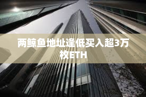 兩鯨魚地址逢低買入超3萬枚ETH