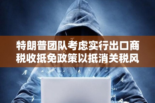 特朗普團隊考慮實行出口商稅收抵免政策以抵消關稅風險