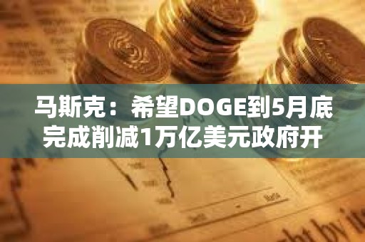 馬斯克：希望DOGE到5月底完成削減1萬億美元政府開支的任務