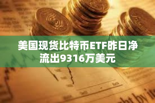 美國現貨比特幣ETF昨日凈流出9316萬美元