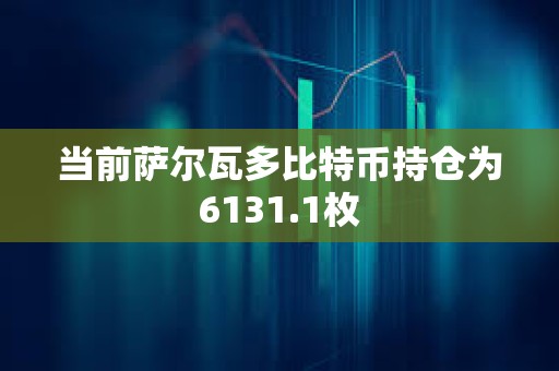 當(dāng)前薩爾瓦多比特幣持倉為6131.1枚