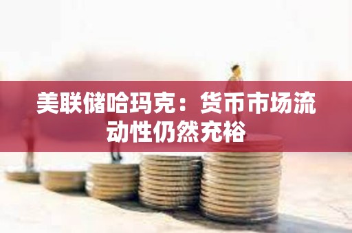 美聯儲哈瑪克：貨幣市場流動性仍然充裕