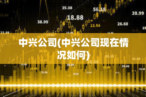 中興公司(中興公司現(xiàn)在情況如何) 中興公司(中興公司現(xiàn)在情況如何)