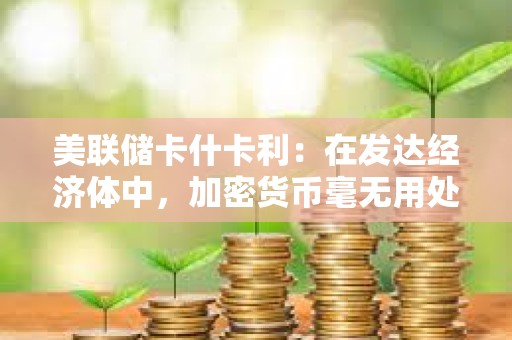 美聯儲卡什卡利：在發達經濟體中，加密貨幣毫無用處