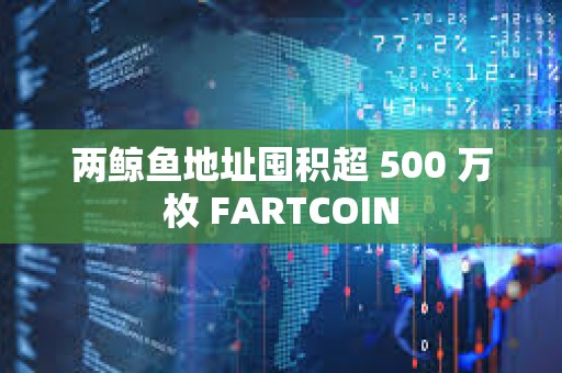 兩鯨魚地址囤積超 500 萬枚 FARTCOIN