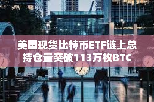 美國現(xiàn)貨比特幣ETF鏈上總持倉量突破113萬枚BTC