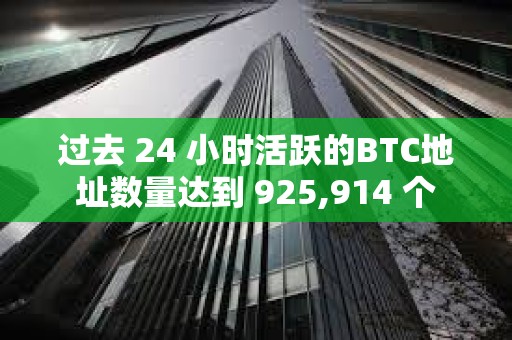 過去 24 小時活躍的BTC地址數量達到 925,914 個