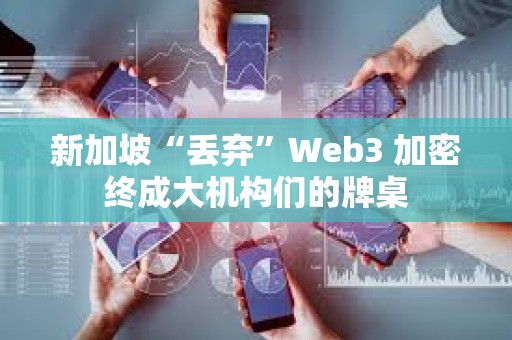 新加坡“丟棄”Web3 加密終成大機(jī)構(gòu)們的牌桌