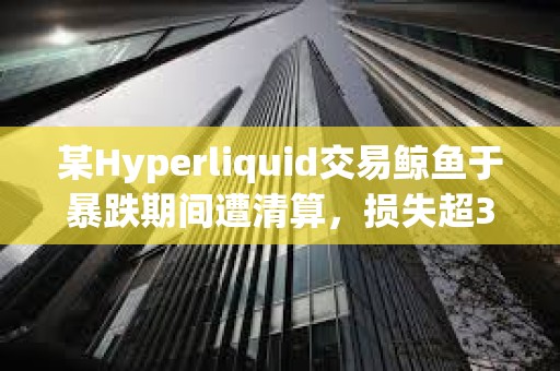 某Hyperliquid交易鯨魚于暴跌期間遭清算，損失超350萬美元