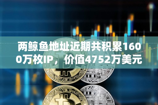 兩鯨魚地址近期共積累1600萬枚IP，價值4752萬美元