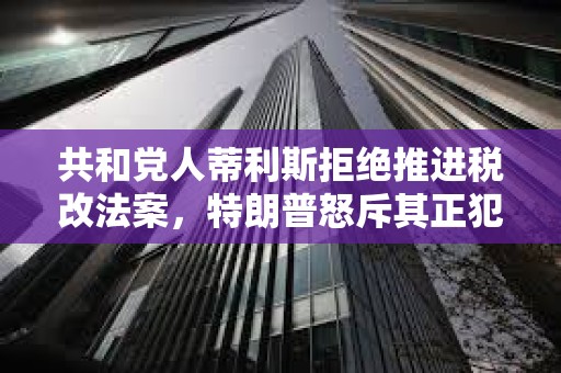 共和黨人蒂利斯拒絕推進稅改法案，特朗普怒斥其正犯下大錯