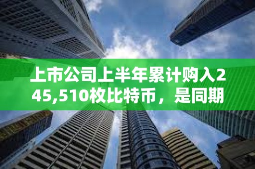 上市公司上半年累計(jì)購(gòu)入245,510枚比特幣，是同期ETF購(gòu)入量的兩倍多