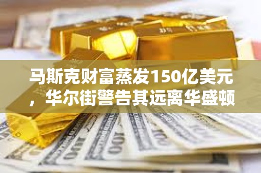 馬斯克財富蒸發150億美元，華爾街警告其遠離華盛頓