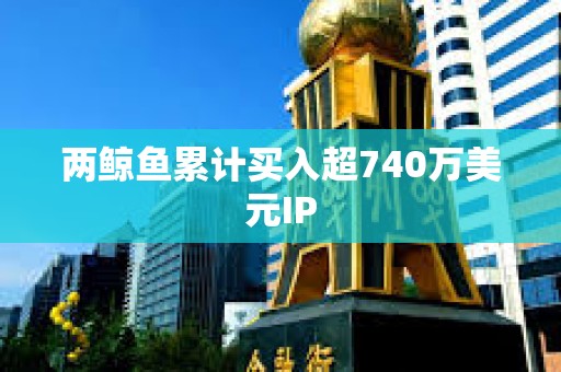 兩鯨魚累計買入超740萬美元IP