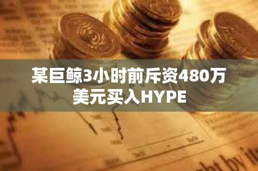 某巨鯨3小時前斥資480萬美元買入HYPE