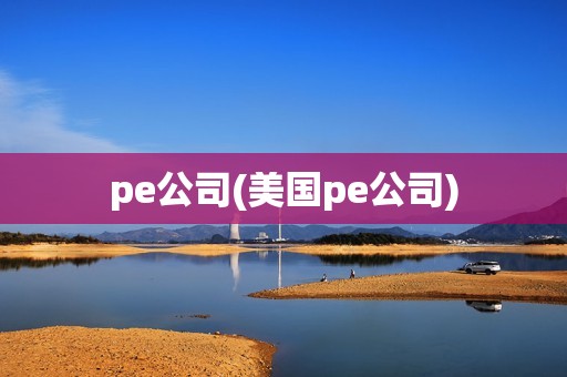 pe公司(美國pe公司)