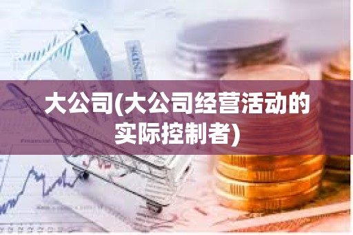 大公司(大公司經營活動的實際控制者)