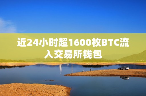 近24小時超1600枚BTC流入交易所錢包