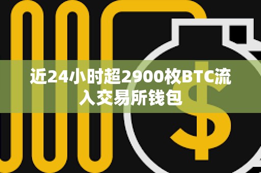 近24小時超2900枚BTC流入交易所錢包