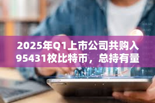 2025年Q1上市公司共購入95431枚比特幣，總持有量達68.8萬枚
