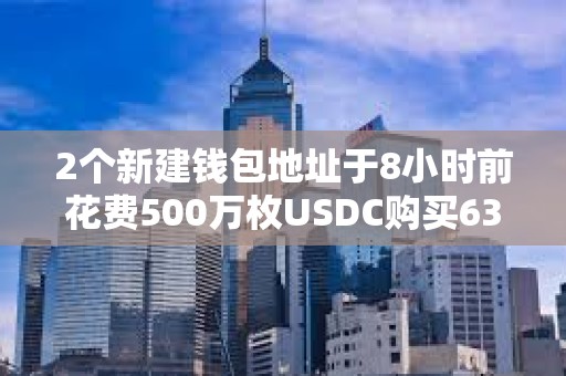 2個新建錢包地址于8小時前花費500萬枚USDC購買630,339枚TRUMP