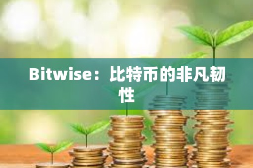 Bitwise：比特幣的非凡韌性