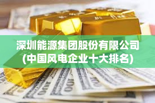 深圳能源集團股份有限公司(中國風電企業十大排名)