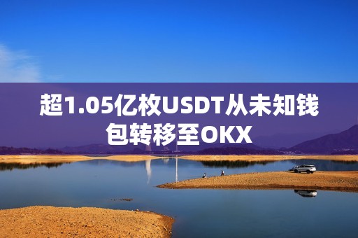 超1.05億枚USDT從未知錢包轉移至OKX