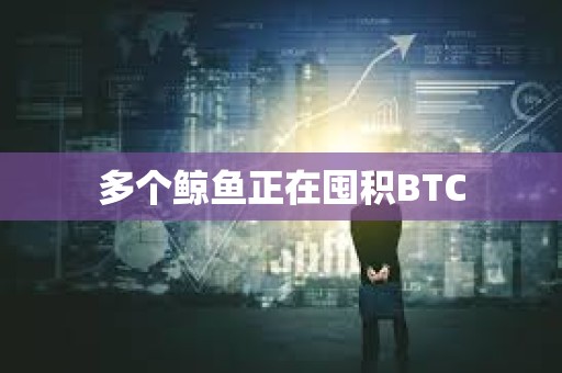 多個鯨魚正在囤積BTC