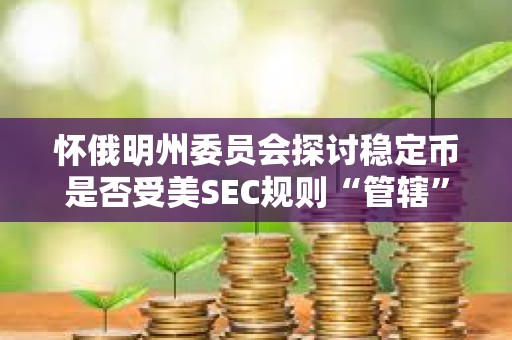 懷俄明州委員會探討穩定幣是否受美SEC規則“管轄”