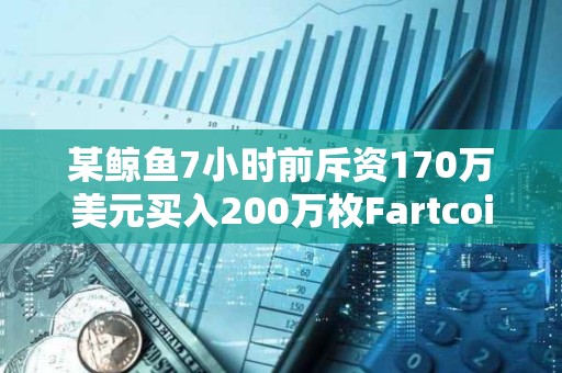 某鯨魚7小時前斥資170萬美元買入200萬枚Fartcoin