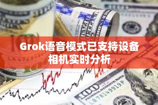 Grok語音模式已支持設備相機實時分析