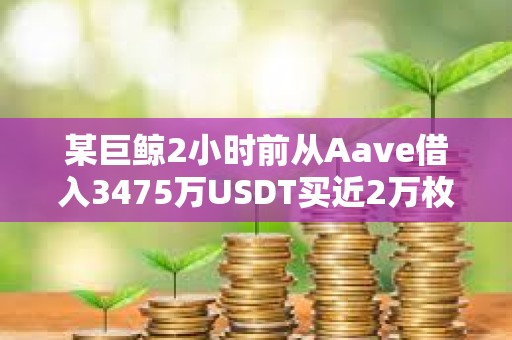 某巨鯨2小時前從Aave借入3475萬USDT買近2萬枚ETH