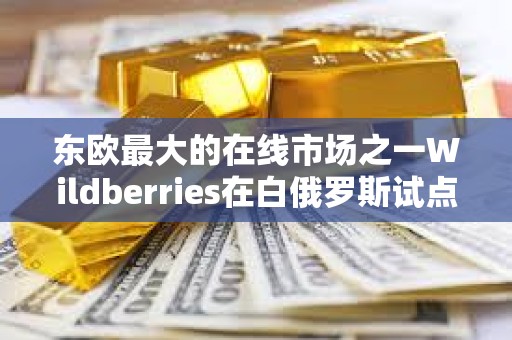 東歐最大的在線市場之一Wildberries在白俄羅斯試點加密貨幣支付