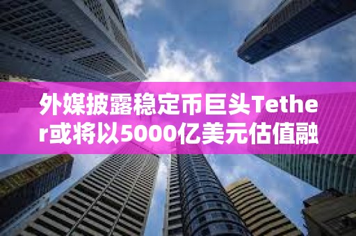 外媒披露穩定幣巨頭Tether或將以5000億美元估值融資