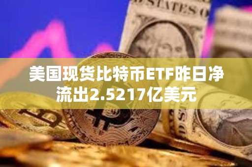 美國(guó)現(xiàn)貨比特幣ETF昨日凈流出2.5217億美元
