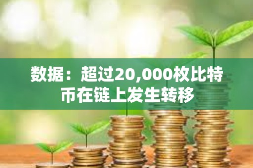 數據：超過20,000枚比特幣在鏈上發生轉移
