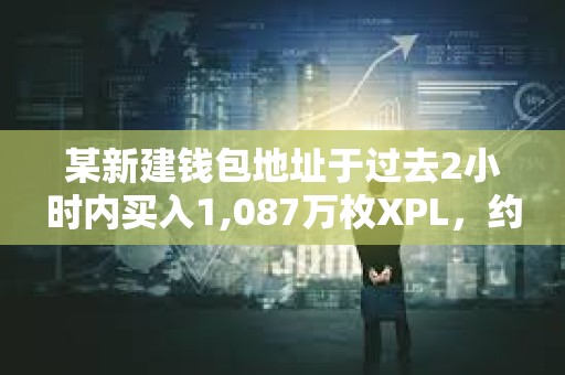 某新建錢包地址于過去2小時內買入1,087萬枚XPL，約合1,360萬美元